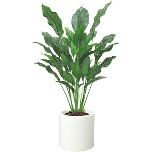 y@llz 125cmXg`A[tc[ OΉ s|bgʔt LET2066L tFCNO[ [t c[ lHϗtA OΉ Xg`A[tc[ Xg`A c[