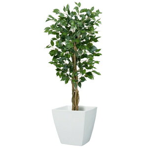 y@llz 120cmtBJXc[ SS i`gN s|bgʔt NGT2017SS10 tFCNO[ [t VR lHϗtA tBJXc[ tBJX xW~ c[