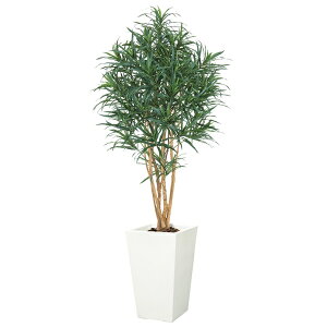 y@llz hZic[ M i`gN s|bgʔt NGT2026M tFCNO[ [t VR lHϗtA hZic[ hZi c[