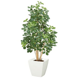 y@llz v~AJ|bNc[ M i`gN s|bgʔt NGT2028M tFCNO[ [t VR lHϗtA v~AJ|bNc[ J|bN c[