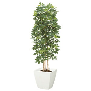 y@llz J|bNc[ M i`gN O[ s|bgʔt NGT2029MGR tFCNO[ [t VR lHϗtA J|bNc[ J|bN c[