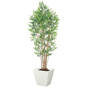 y@llz v~AglRc[ i`gN s|bgʔt NGT2038GL18 tFCNO[ [t VR lHϗtA v~AglRc[ glR c[