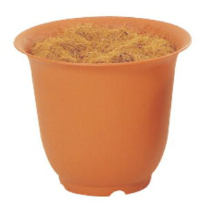 mA|bg 8 ê uE N0008 ԗp |bg  e IAVX mA|bg 8 uE 