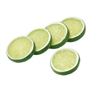 CXCX 5PpbN \tg^b` VF1058 HiTv tFCNt[h fBXvC t[c C