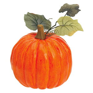 InCIpvL L VF1207L HiTv tFCNt[h fBXvC  ڂ J{` nEB pvL