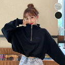 【送料無料】 トレーナー 薄手 ハーフジップ ジップアップ ショート丈 短丈 トップス カットソー ロンT ハイネック 長袖 へそ出し ブラック グレー ダンス 衣装 ヒップホップ コスチューム 韓国ファッション 大きいサイズ 個性的 服