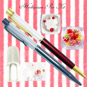 yfRW[izޗZbg (O[) n[oE{[yLbg@t@2{쐻@p[EԁE@Mtg@a@|@o^C@̓@t