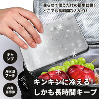 保冷剤ステンレス長時間強力保冷クーラーボックス小型長持ち最高な冷却用品繰り返し使える冷蔵冷凍対応熱中症対策スピード冷凍&高性能保冷ステンレス製アイスパック保冷パックお弁当釣りアウトドアキャンプ