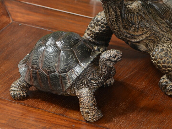 楽天市場 Tortoise リクガメ Small 自然の造形が美しい亀の置物 スタンドオブジェ かめ 亀 は虫類 爬虫類 おしゃれ リアル アニマル 動物 アンティーク風 アンティーク 雑貨 カメ ブラック リアル Decor Plus