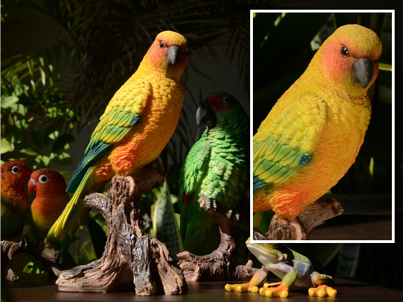 楽天市場】Sun Parakeet メキシコインコ 自然の造形が美しい鳥の置物