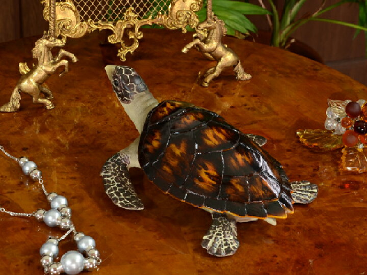 楽天市場】Sea turtle ウミガメの小物入れ 置物 ボックス 飾り 