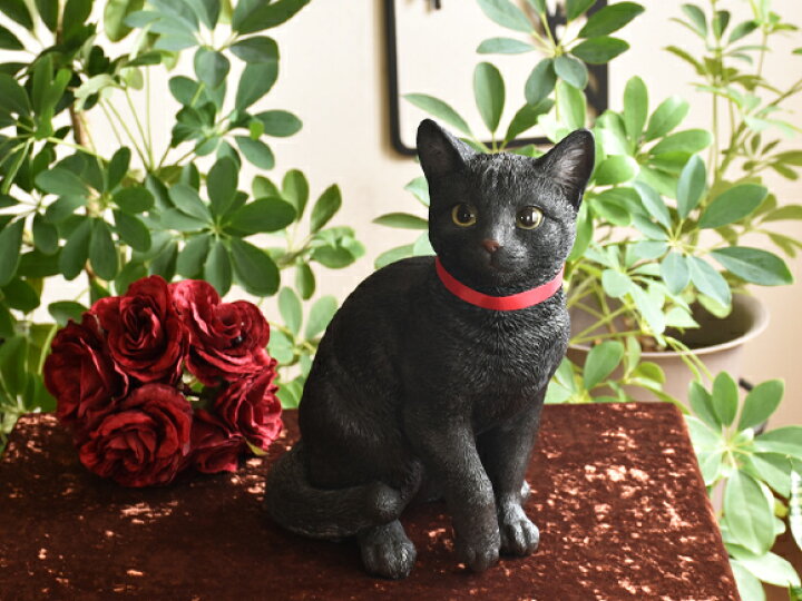 楽天市場】Black Cat ブラックキャット 生きているようなかわいい黒 