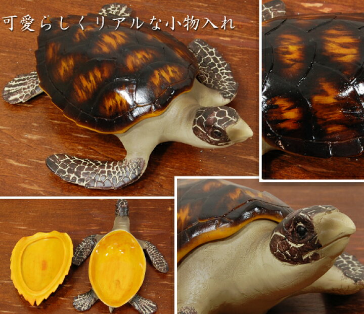 楽天市場】Sea turtle ウミガメの小物入れ 置物 ボックス 飾り 