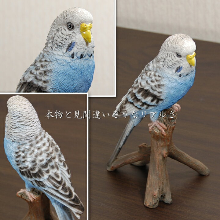 楽天市場】Parakeet Blue かわいいセキセイインコの置物 ブルー 本物の 