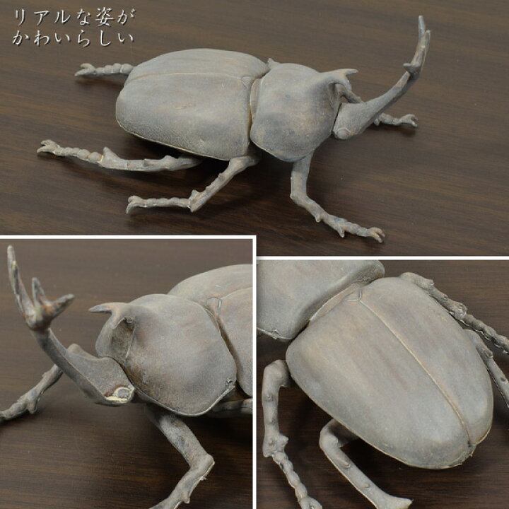 楽天市場】Beetle グレイビートル リアルなカブトムシの置物 オブジェ 
