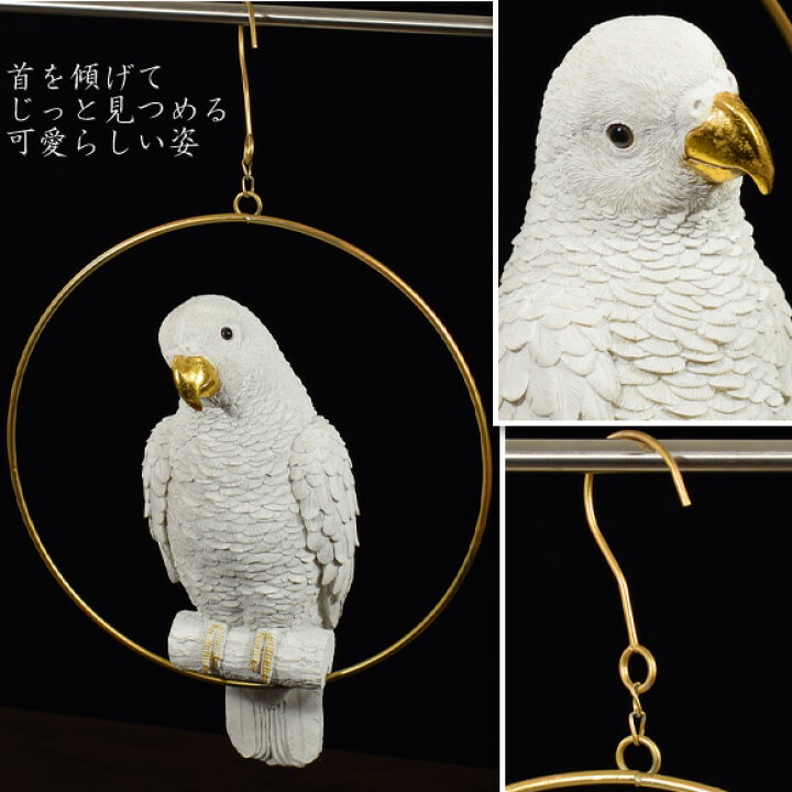 楽天市場】ハンギング リングコカトゥー 首を傾げた可愛い白インコ 