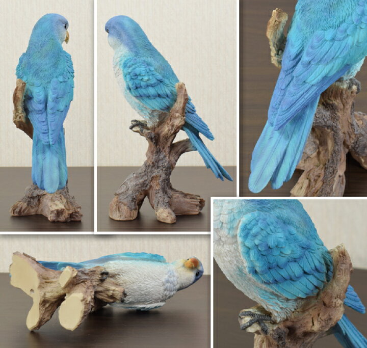 楽天市場 オキナインコ 造形が美しい鳥の置物 オブジェ オウム 飾り 鳥 動物 バード リアル アンティーク 雑貨 アンティーク風 かわいい おしゃれ 北欧 ブルー 青 本物そっくり 輸入雑貨 Monk Parakeet Quaker Parrot Decor Plus