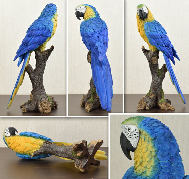 楽天市場 Blue And Yellow Macaw ルリコンゴウインコ 造形が美しい鳥の置物 オブジェ オウム 飾り 鳥 動物 バード リアル アンティーク 雑貨 アンティーク風 かわいい おしゃれ 北欧 ブルー イエロー 青 本物そっくり 輸入雑貨 Decor Plus