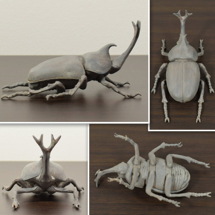 楽天市場】Beetle グレイビートル リアルなカブトムシの置物 オブジェ 