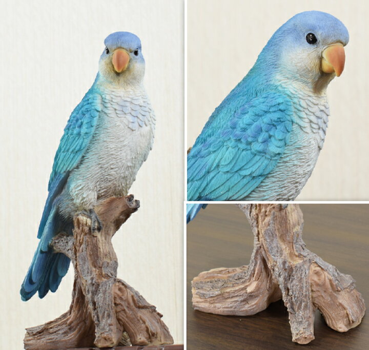 楽天市場 オキナインコ 造形が美しい鳥の置物 オブジェ オウム 飾り 鳥 動物 バード リアル アンティーク 雑貨 アンティーク風 かわいい おしゃれ 北欧 ブルー 青 本物そっくり 輸入雑貨 Monk Parakeet Quaker Parrot Decor Plus