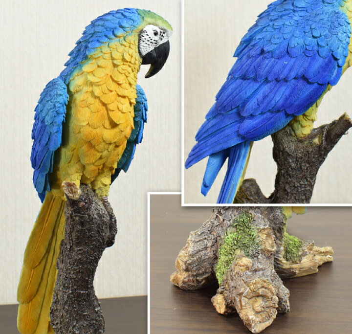 楽天市場 Blue And Yellow Macaw ルリコンゴウインコ 造形が美しい鳥の置物 オブジェ オウム 飾り 鳥 動物 バード リアル アンティーク 雑貨 アンティーク風 かわいい おしゃれ 北欧 ブルー イエロー 青 本物そっくり 輸入雑貨 Decor Plus