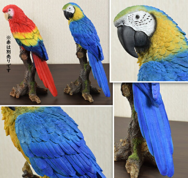楽天市場 Blue And Yellow Macaw ルリコンゴウインコ 造形が美しい鳥の置物 オブジェ オウム 飾り 鳥 動物 バード リアル アンティーク 雑貨 アンティーク風 かわいい おしゃれ 北欧 ブルー イエロー 青 本物そっくり 輸入雑貨 Decor Plus