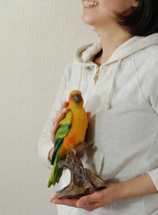オカメインコ オウム アンティーク スタンプ ハンコ バード フランス フレンチ ヴィンテージ 古道具 図鑑 木の枝 蚤の市 鳥類 Sale 61 Off 鳥類