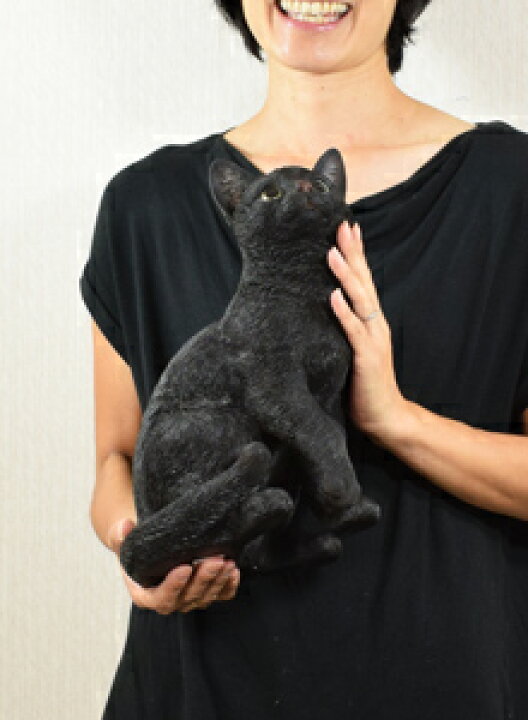 楽天市場】Black Cat ブラックキャット 生きているようなかわいい黒 