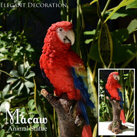 Macaw　コンゴウインコ　レッド　自然の造形が美しい鳥の置物　スタンドオブジェ　トリ　とり　インコ　オウム　リアル　トロピカル　アンティーク　雑貨　おしゃれ　アニマル　動物　バード　本物そっくり　赤　インテリア　オシャレ　モダン　北欧　卓上　リビング