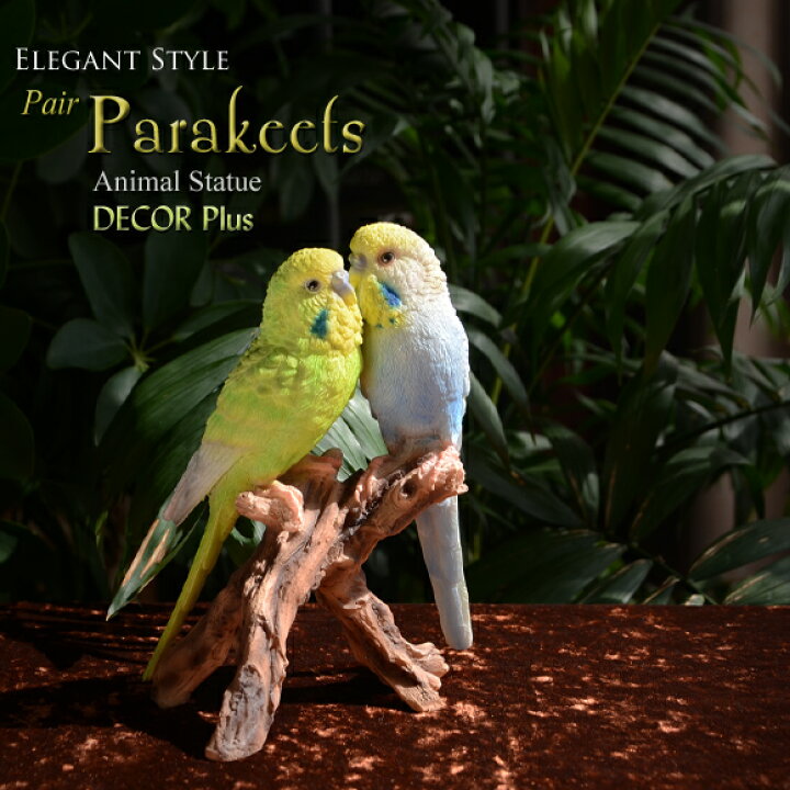 楽天市場】Pair Parakeets ペア・パラキート 仲良しインコの置物 本物 