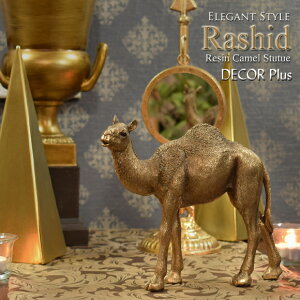 Rashid@V[h@uEL@N_̒u@@S[h@@炭@pk@Aj}@A@AeB[N@G݁@AeB[N@@k@@Au@{