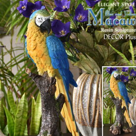 Blue-and-Yellow Macaw　ルリコンゴウインコ　造形が美しい鳥の置物　オブジェ　オウム　飾り　鳥　動物　バード　リアル　アンティーク　雑貨　アンティーク風　かわいい　おしゃれ　北欧　ブルー　イエロー　青　本物そっくり　輸入雑貨　インテリア　卓上　リビング　夏