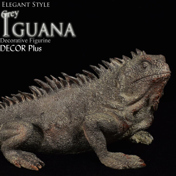 楽天市場】Iguana グレイイグアナ リアルなイグアナの置物 オブジェ ...