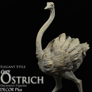 Ostrich@OCI[Xgb`@Aȃ_`E̒u@IuWF 傤 fR 킢 u    Aj} A AeB[N G AeB[N o[h O[ j