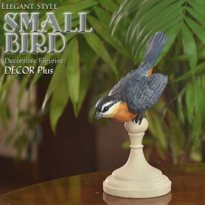 Small Bird@u[X[o[h@@u@IuWF  u[o[h Aj}    A AeB[N G AeB[N 킢 ς  k CeA 