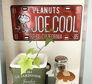 yzXk[s[ W[N[@JOE COOL s[ibc PEANUTS SNOOPY \Ĕ Ղ藧 io[v[g EH[XebJ[ PVC ǎ W385*H170*D5mm PWD16