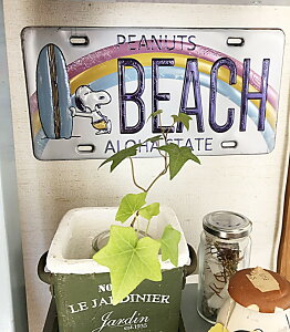 yzXk[s[ }r[` s[ibc PEANUTS SNOOPY PEANUTS BEACH ALOHA STATE \Ĕ Ղ藧 io[v[g EH[XebJ[ PVC ǎ W385*H170*D5mm PWD17