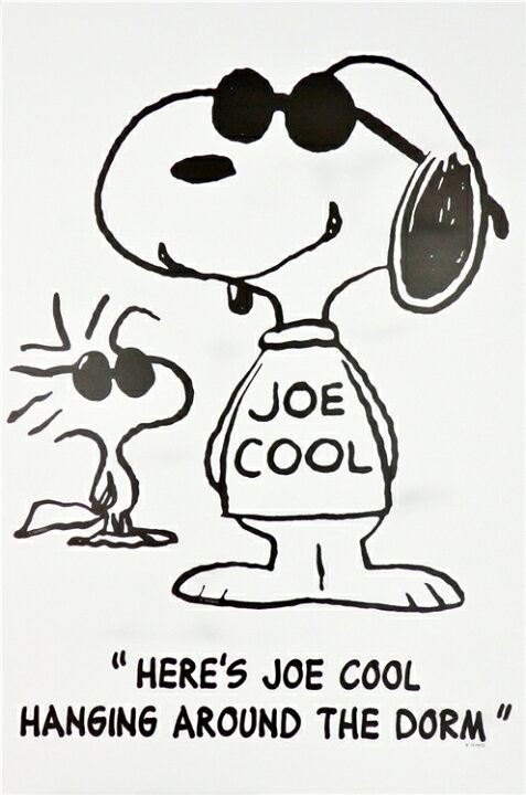 楽天市場 送料無料 スヌーピーとウッドストック Joe Cool ピーナッツ Peanuts Snoopy Friends 貼って剥がせる ウォールステッカー Pvc 壁紙 大判サイズ H580 W300mm Pwd21 Decoste