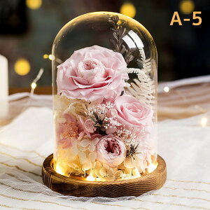 vU[h t[ ͂Ȃ  a  Mtg KN hCt[ t[ MtgKXh[ LEDCg ̂ aFB ̓ӂNւ̌hӋLOv[