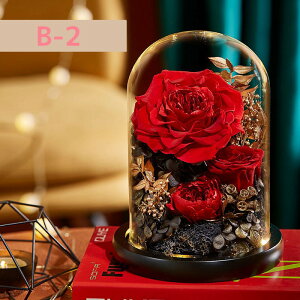 �v���U�[�h �t�����[ �͂�Ȃ��� ���� �a���� �� �M�t�g �K�N �h���C�t�����[ �t�����[ �M�t�g�K���X�h�[�� LED���C�g ����̂��� �a�������F�B ��̓����ӂ��N���ւ̌h�ӋL�O���v���[