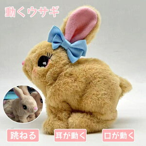 dETM ETM dqybg Aȃoj[̂ʂ  ʂ V~[Vybg˂   ybg ̎q ܎Oj ЂȍՂ 