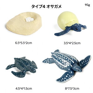 E~K&NK̐TCN͌^ A͌^  qwKߋ ݂߂̐ߒ~j`A͌^ mߋ 肭߂̃CtTCN u   ct wZ Ȋw