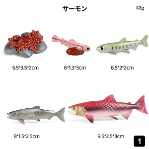 TP̐TCN͌^ TP̐ߒ~j`A͌^ TP̈ꐶ mߋ ̃CtTCN T[ A͌^  qwKߋ u   ct wZ Ȋw 