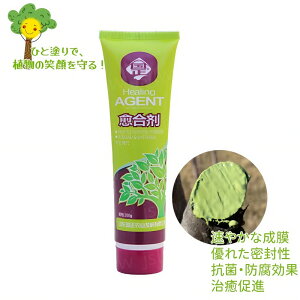  ؖ 3{  ؂ی ؂  ؐ؂ی N[ | A ؏ ؂CN[ A Ah ؂