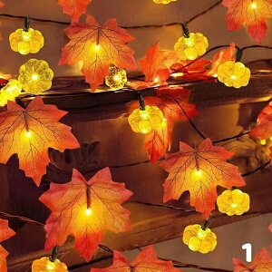 gt tFCN Cg nEB  K[fCg \[[ J{`/gtCg ̗t H̏ O h v C~l[VCg ߍ   ~ 