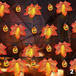 gt tFCN Cg nEB  K[fCg \[[ J{`/gtCg ̗t H̏ O h v C~l[VCg ߍ   ~ 