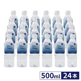 Body Friendly Water 500ml×24本/1箱 あなたのからだに近い水 海洋深層水 軟水 国産 ミネラル ウォーター 伊豆 赤沢温泉 水 ペットボトル 美容 健康 まとめ買い 送料無料 ボディフレンドリーウォーター