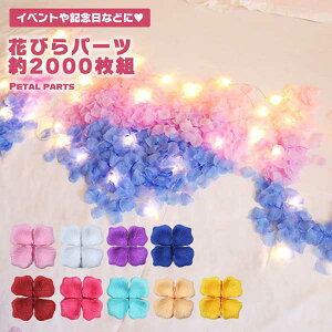 Ԃт 2000 p[c t[V[  t[y^ A[gt[ ʐ^f Cxg v|[Y  j v|[Y  LO 