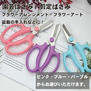 はさみ ピンク ガーデニングばさみの人気商品 通販 価格比較 価格 Com
