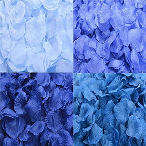 Ԃт u[n2000Zbg t[V[  KN  v|[Y   EGfBO 2 a j ...